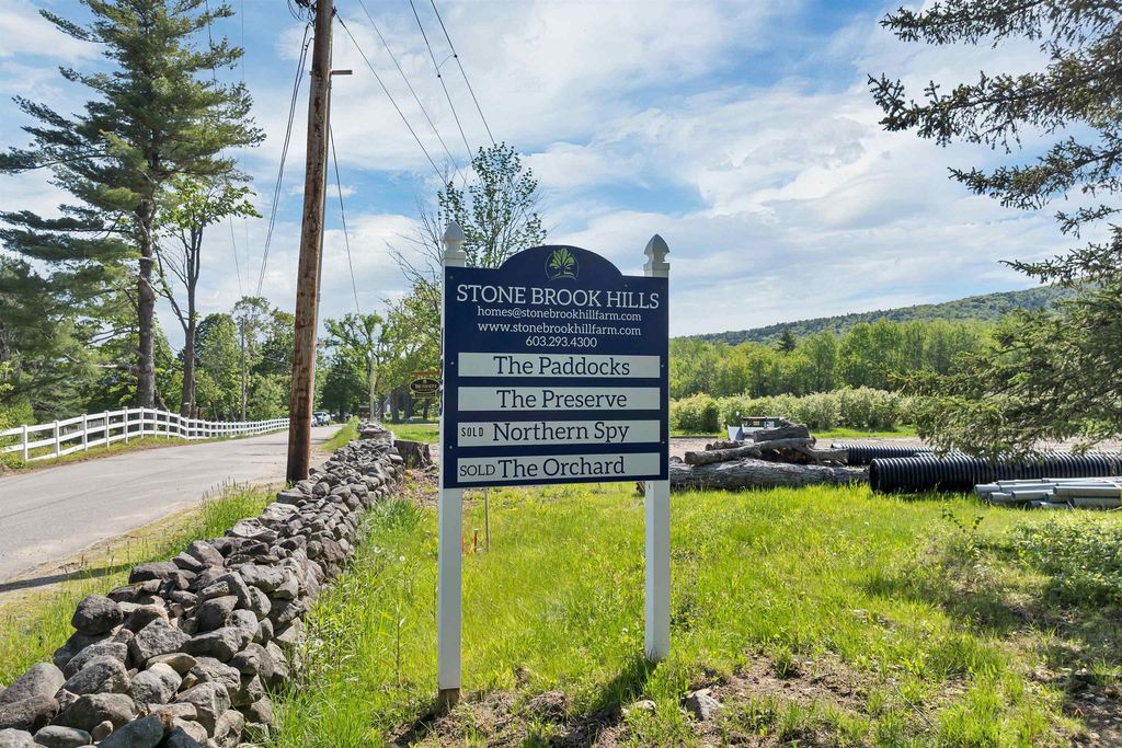 Photo of 44 Homestead Drive, Gilford, NH 03249 (MLS # 5075709)