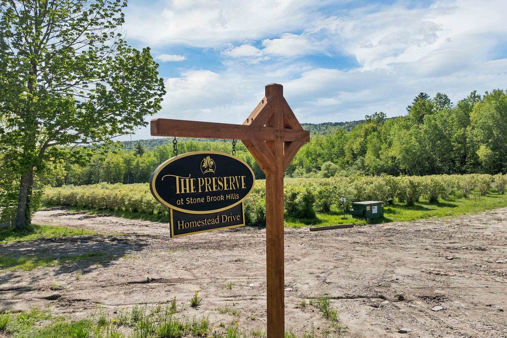 Photo of 44 Homestead Drive, Gilford, NH 03249 (MLS # 5075709)