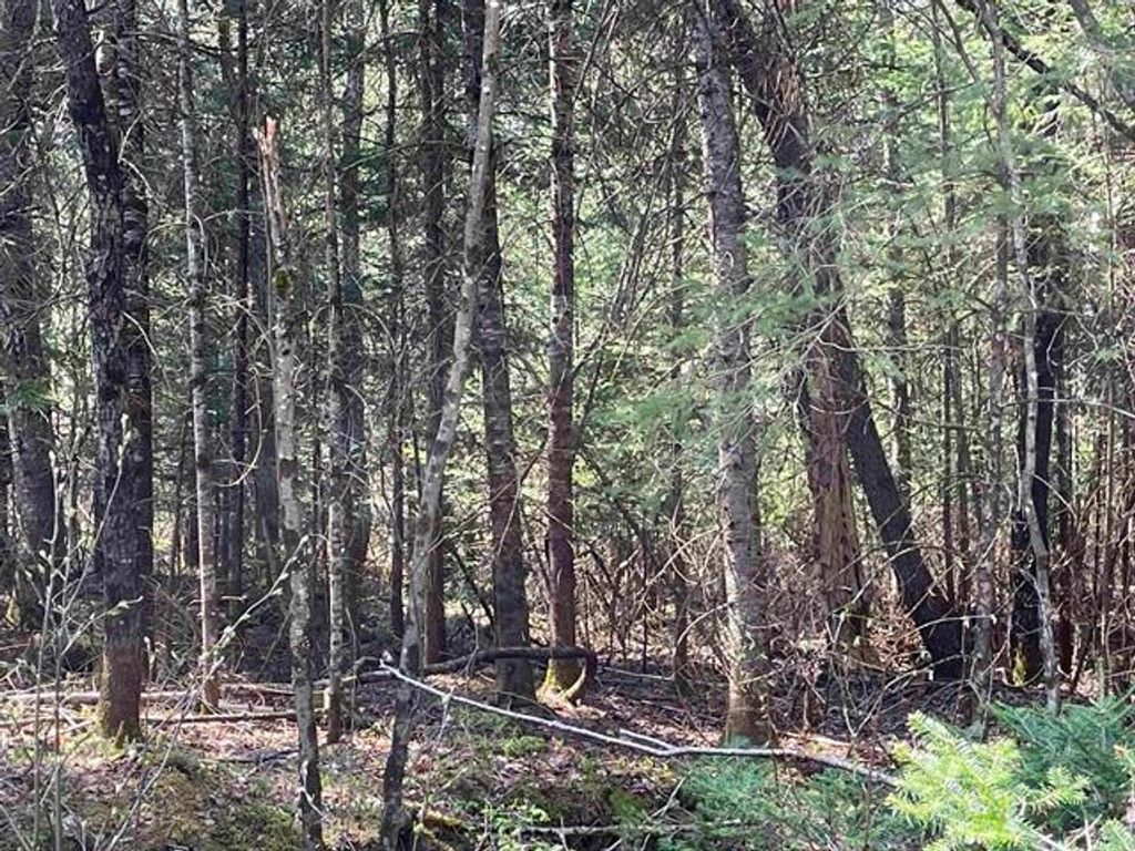 Photo of Simms Stream Road, Columbia, NH 03576 (MLS # 5079106)