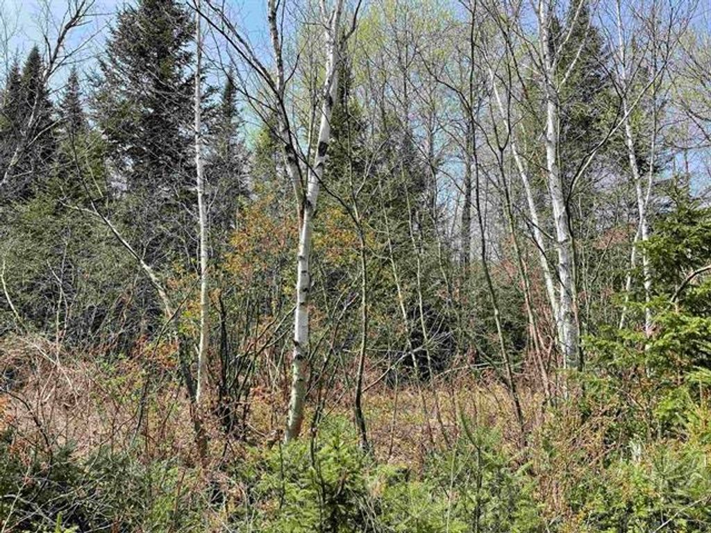 Photo of Simms Stream Road, Columbia, NH 03576 (MLS # 5079106)