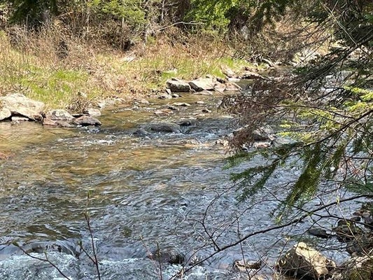 SIMS STREAM RD, COLEBROOK, NH 03576 - Image 10d53b0e595cc06746b8e68e1caa22b4/684529552