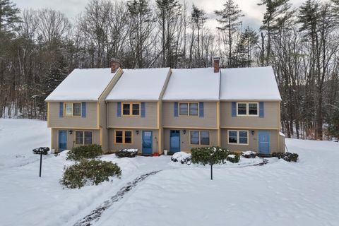 Photo of 75 Lakewood Pines Road #20, Bristol, NH 03222 (MLS # 5073595)