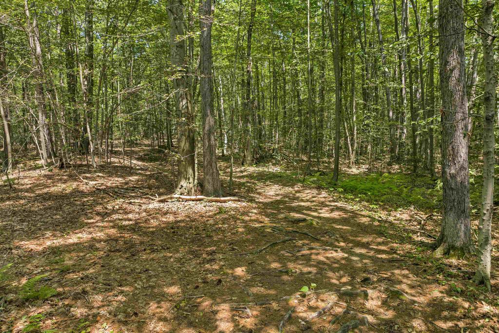 Photo of 101125 Winslow Road, Weare, NH 03281 (MLS # 5083382)