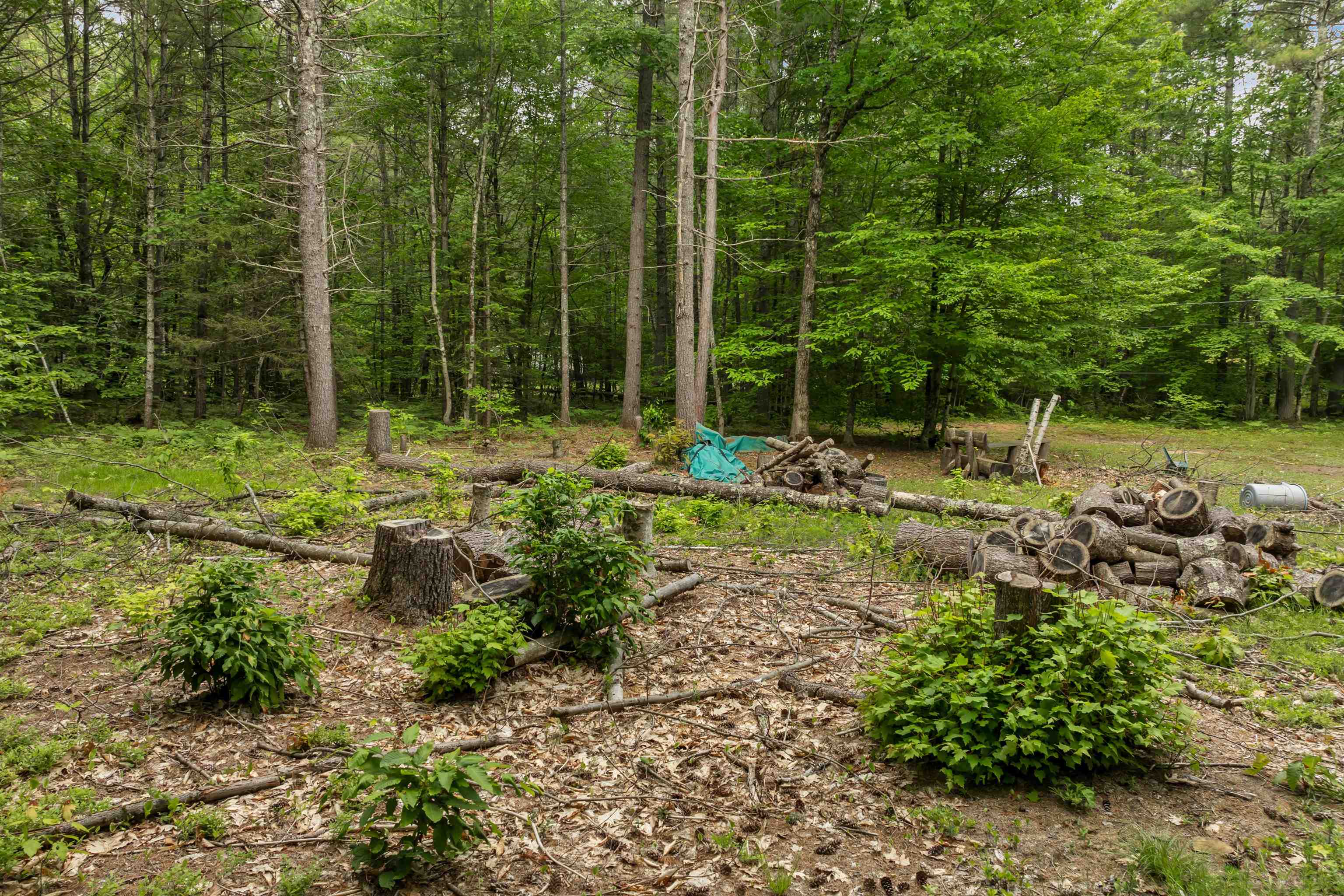 111 Green Mountain Road