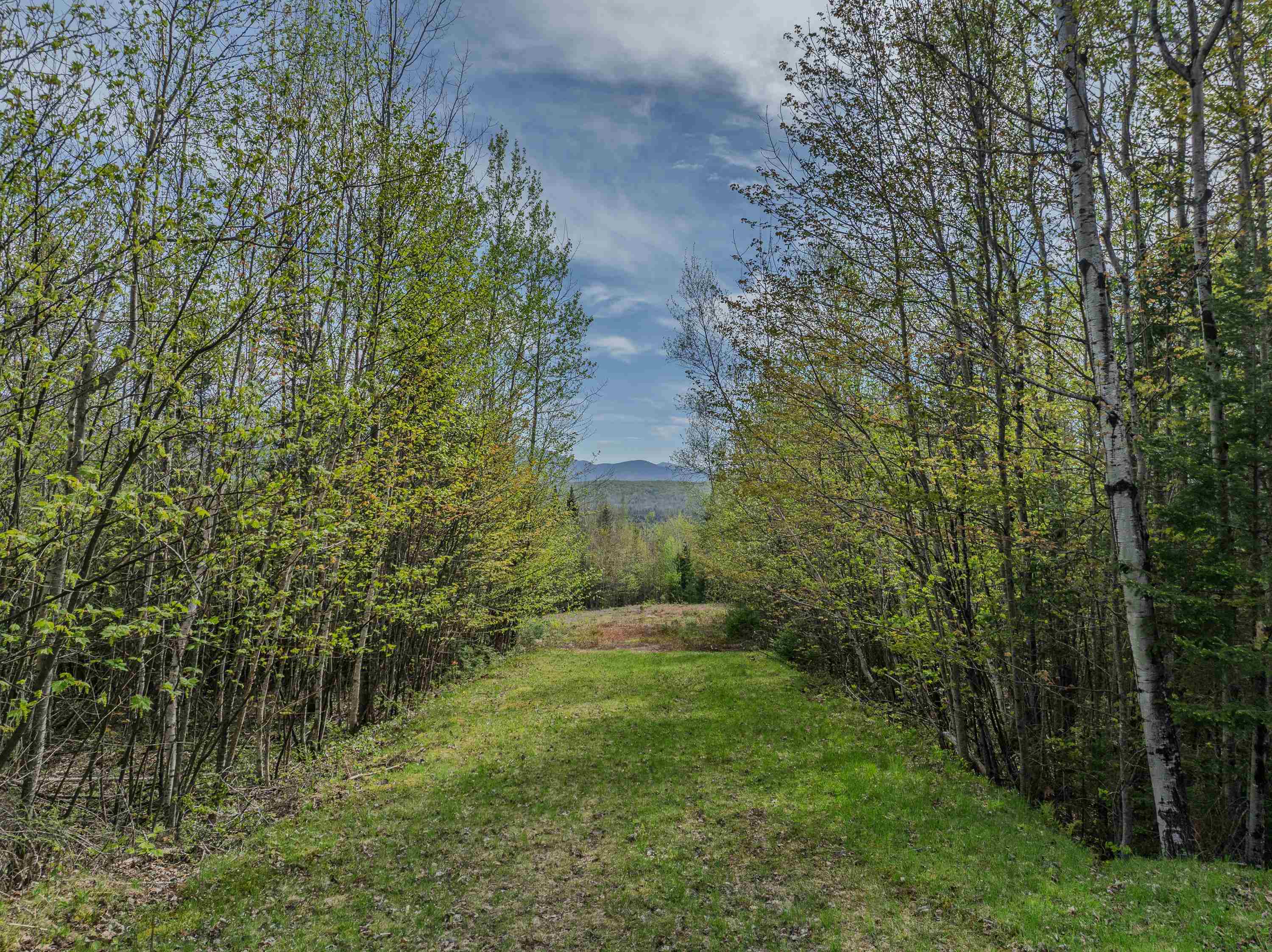 00 Beechwood Drive