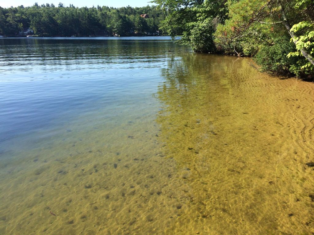 Photo of 115 Chandler Lane, Wakefield, NH 03830 (MLS # 5071031)