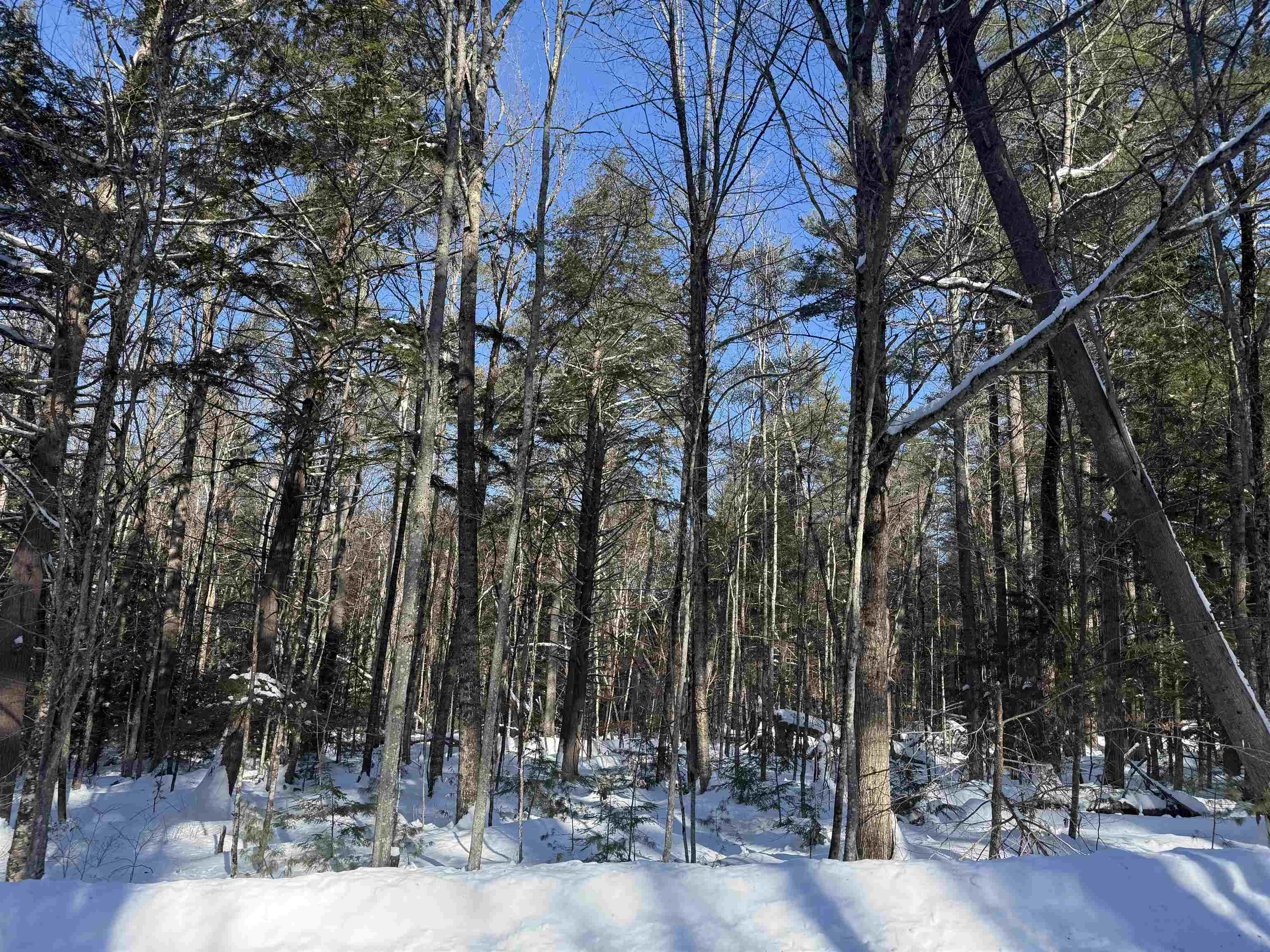 430 Jay Hill Road 430