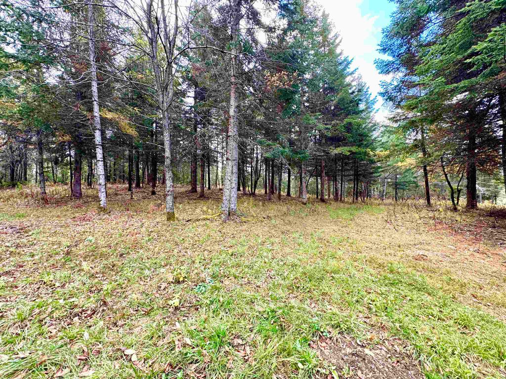 Photo of TBD Hollow Road, Stewartstown, NH 03576 (MLS # 5066067)