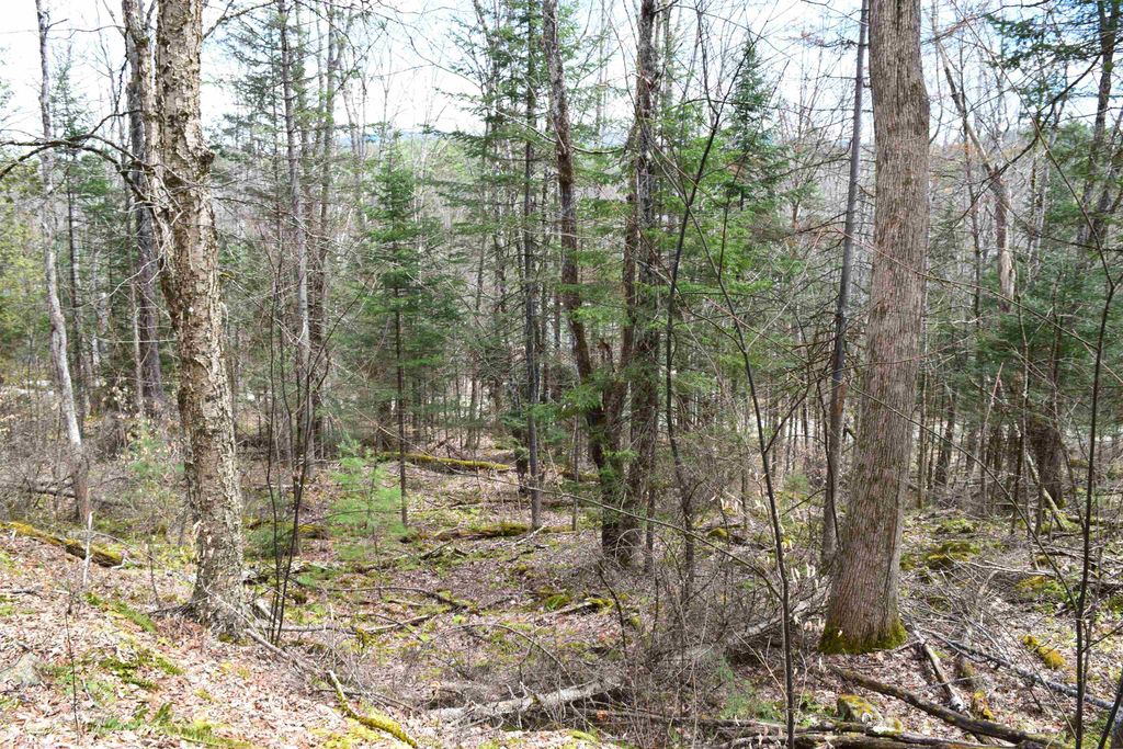 Photo of 177 Belknap Drive #177, Haverhill, NH 03765 (MLS # 5083616)