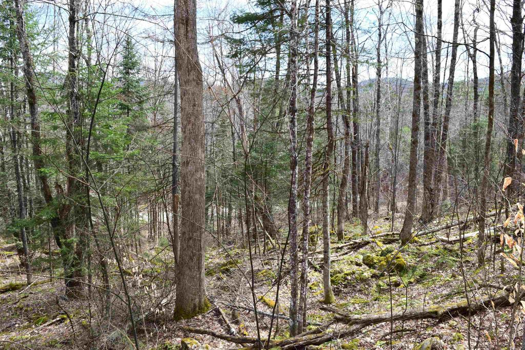 Photo of 177 Belknap Drive #177, Haverhill, NH 03765 (MLS # 5083616)