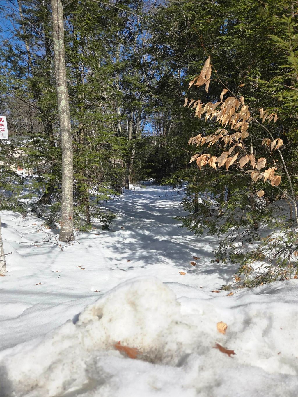 Photo of 2045 Green Road, Raymond, NH 03077 (MLS # 5077328)