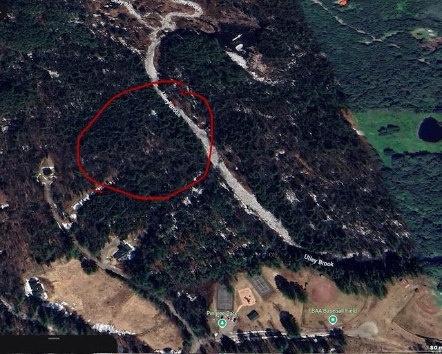 192 Pingree Park Lane Lot #4