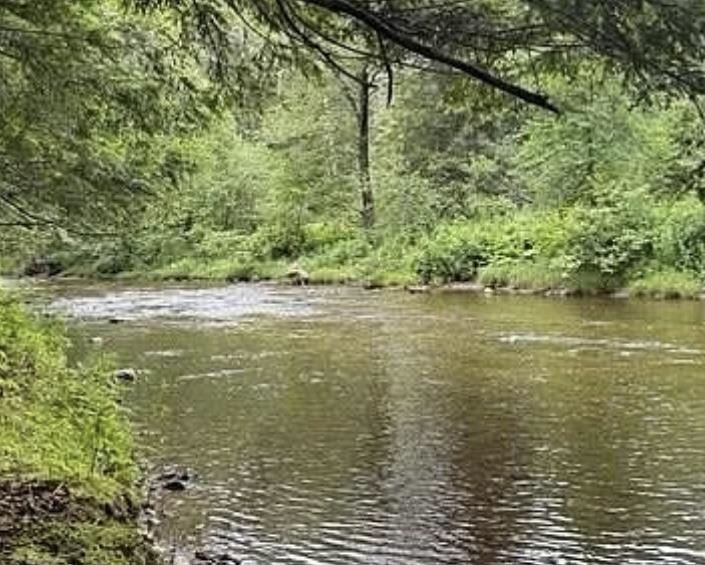 192 Pingree Park Lane Lot #4