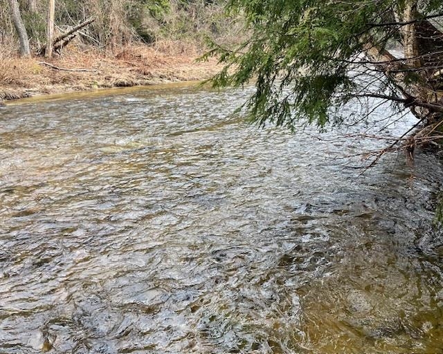 192 Pingree Park Lane Lot #4