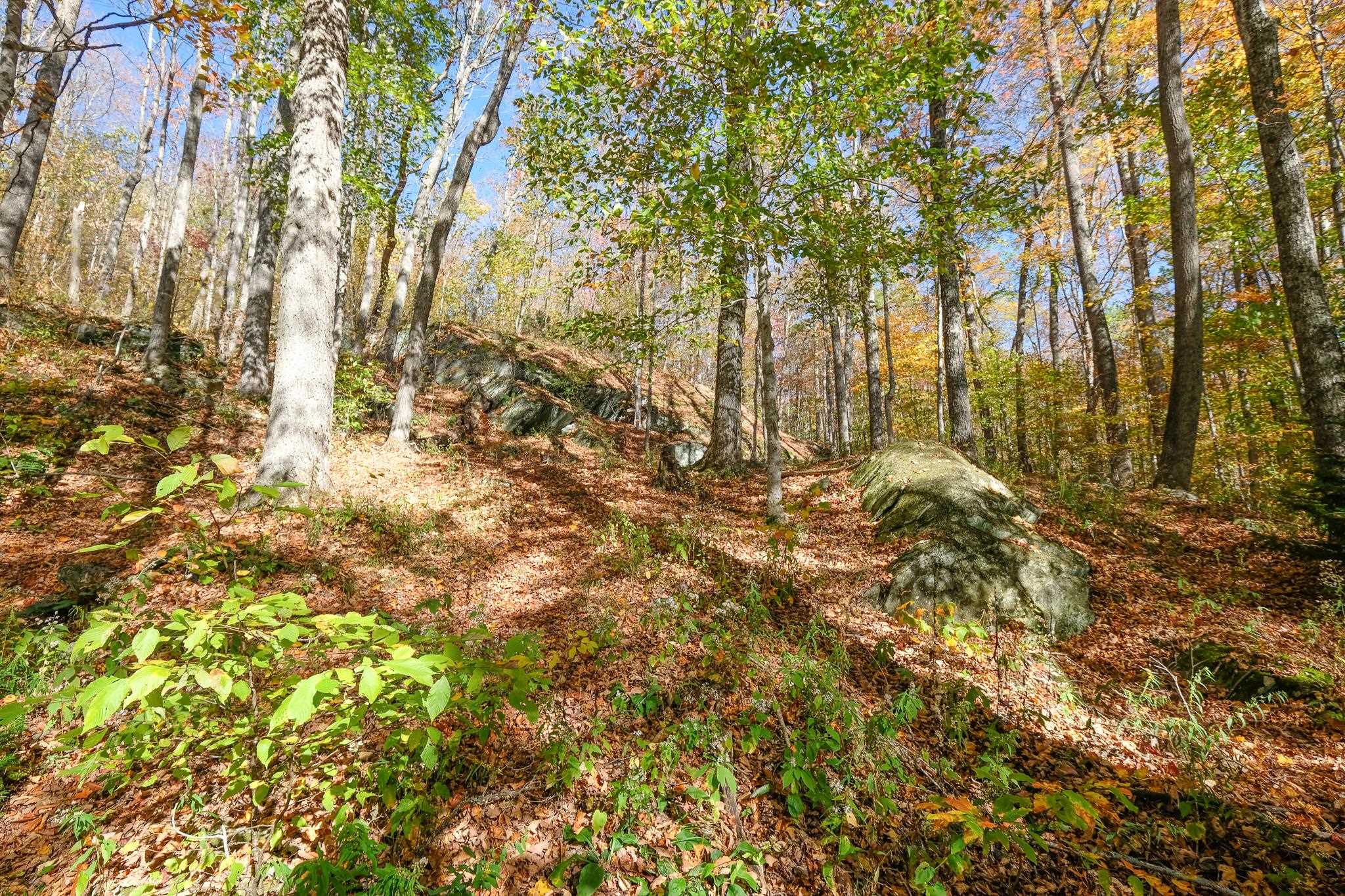 454 Edwin's Pond Road