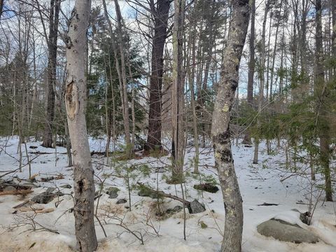 Lot 26-2 Brackett Road New Durham NH 03855