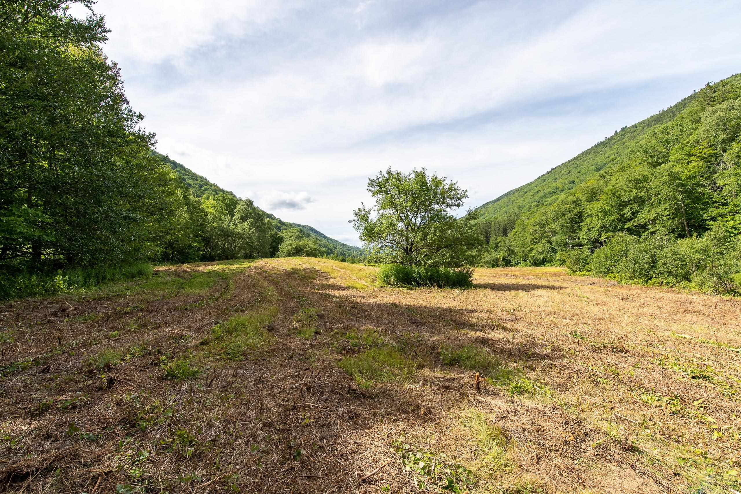 Lot 5 Mission Farm Road