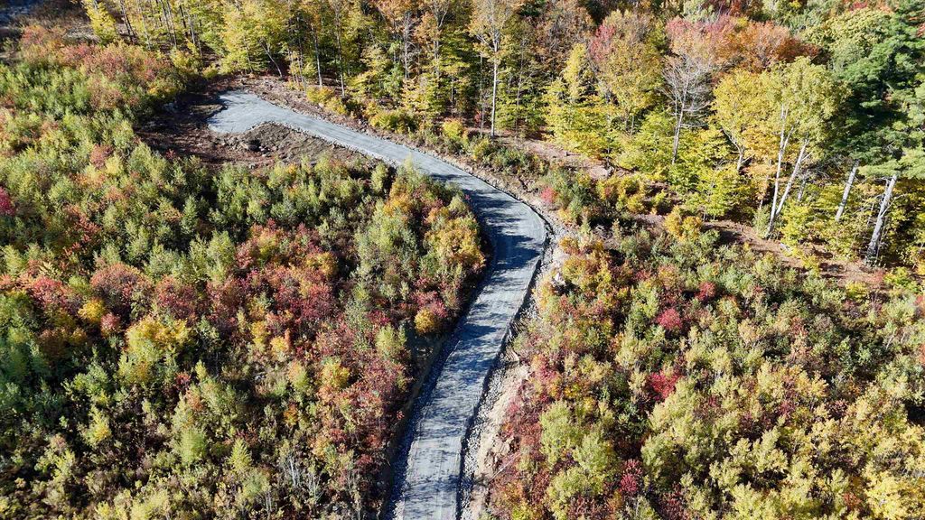 Photo of 33 Homestead Drive, Gilford, NH 03249 (MLS # 5075698)