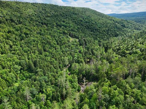 32 Hunter Brook Road Newfane VT 05351