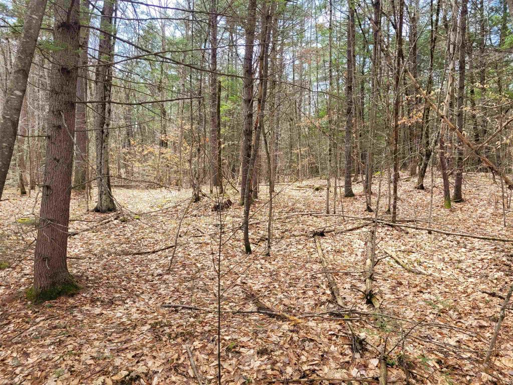 Photo of 0 Tipping Rock Road, Winchester, NH 03470 (MLS # 5084190)