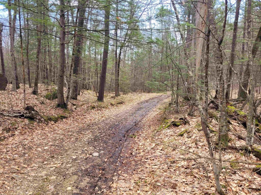 Photo of 0 Tipping Rock Road, Winchester, NH 03470 (MLS # 5084190)