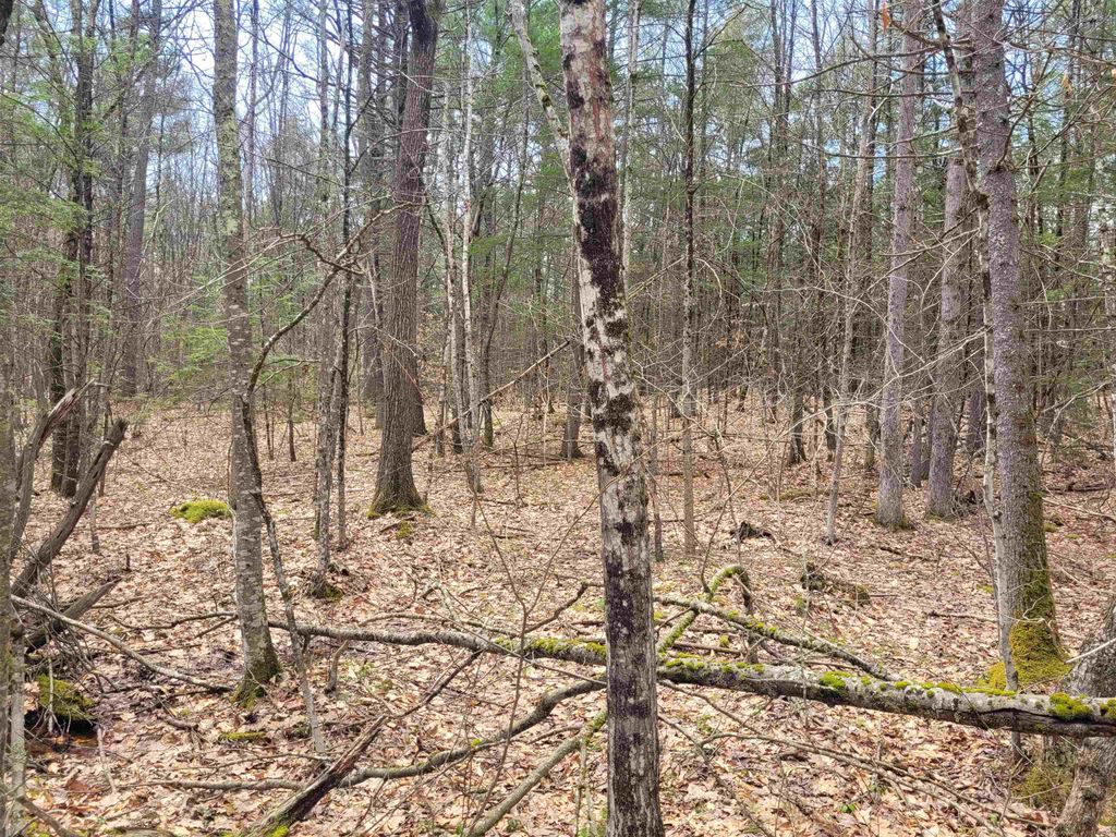 Photo of 0 Tipping Rock Road, Winchester, NH 03470 (MLS # 5084190)