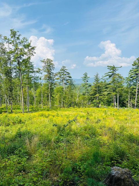 2024 Route 114 Bradford NH 03221