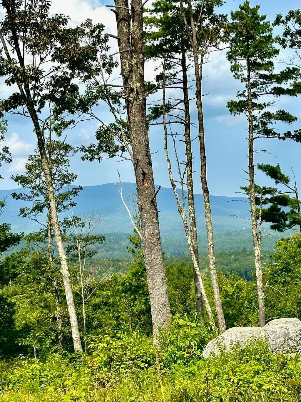 Photo of 2024 Route 114, Bradford, NH 03221 (MLS # 5060602)