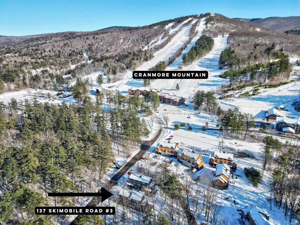 Photo of 137 Skimobile Road #3, Conway, NH 03860 (MLS # 5067808)