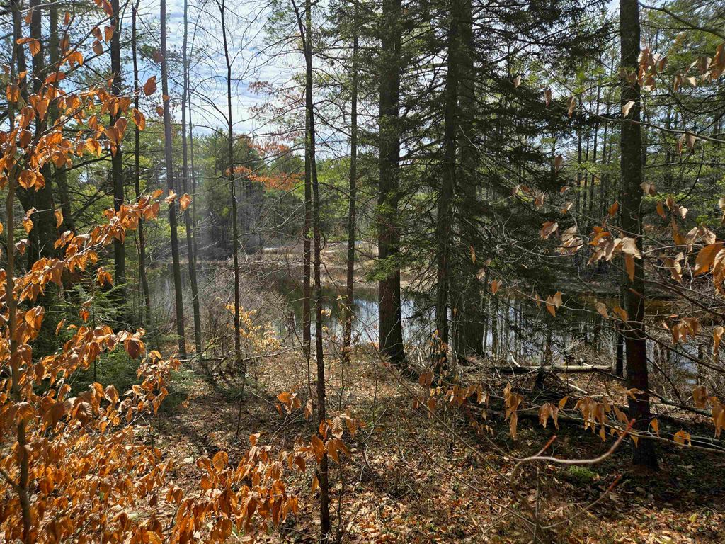 Photo of 179 Chickville Road, Ossipee, NH 03864 (MLS # 5074847)