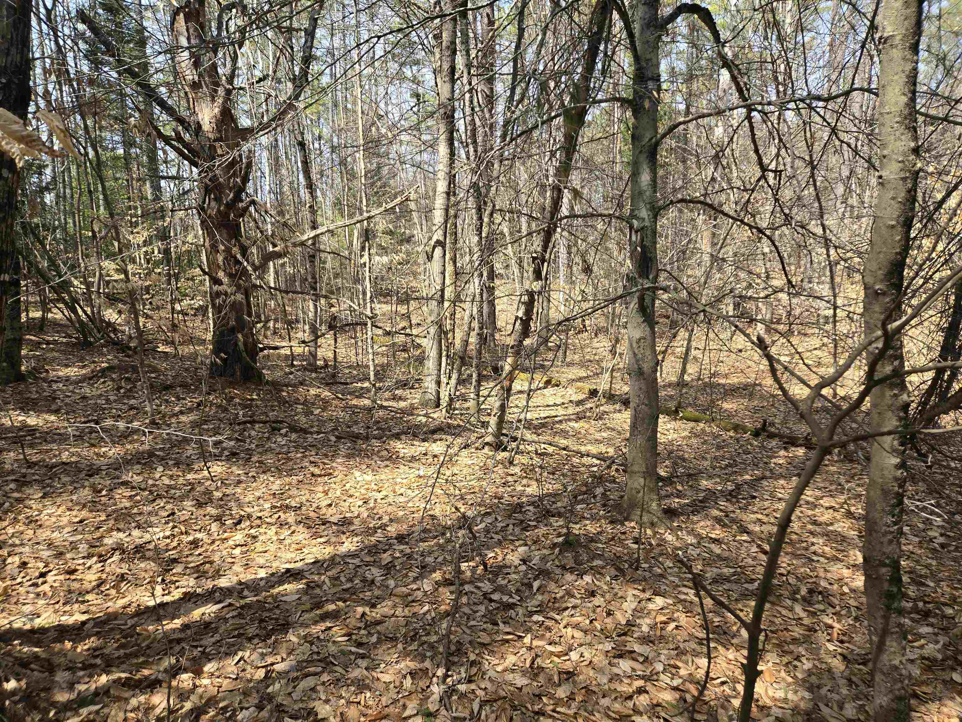179 Chickville Road