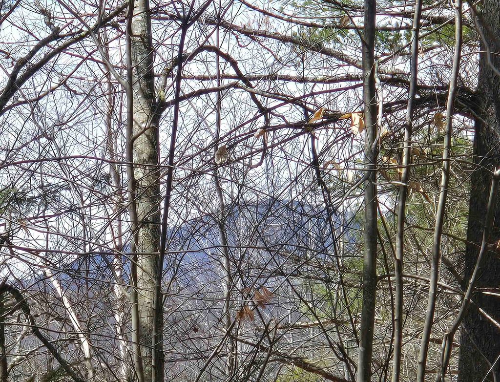 Photo of 179 Chickville Road, Ossipee, NH 03864 (MLS # 5074847)