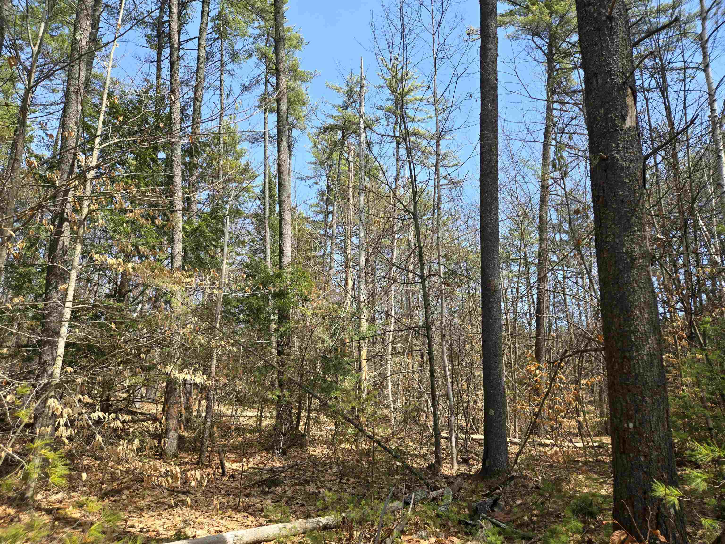 179 Chickville Road