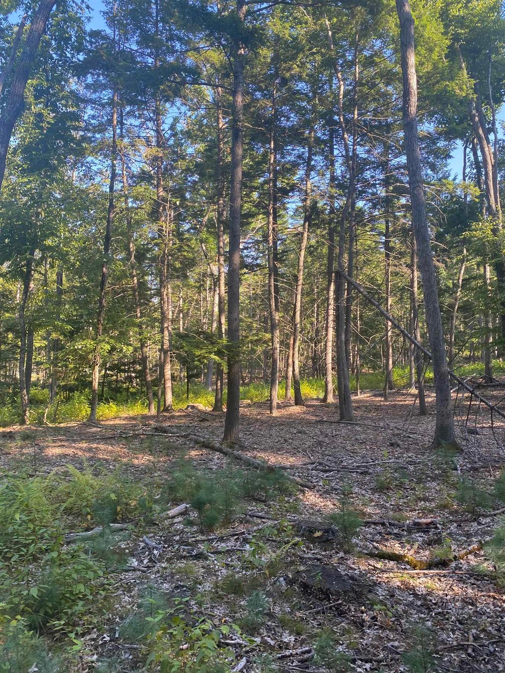 Photo of 00 Dump Road, Chester, NH 03036 (MLS # 4989721)