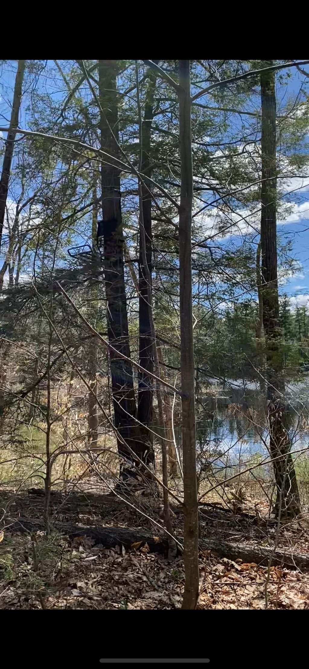 Photo of 00 Dump Road, Chester, NH 03036 (MLS # 4989721)