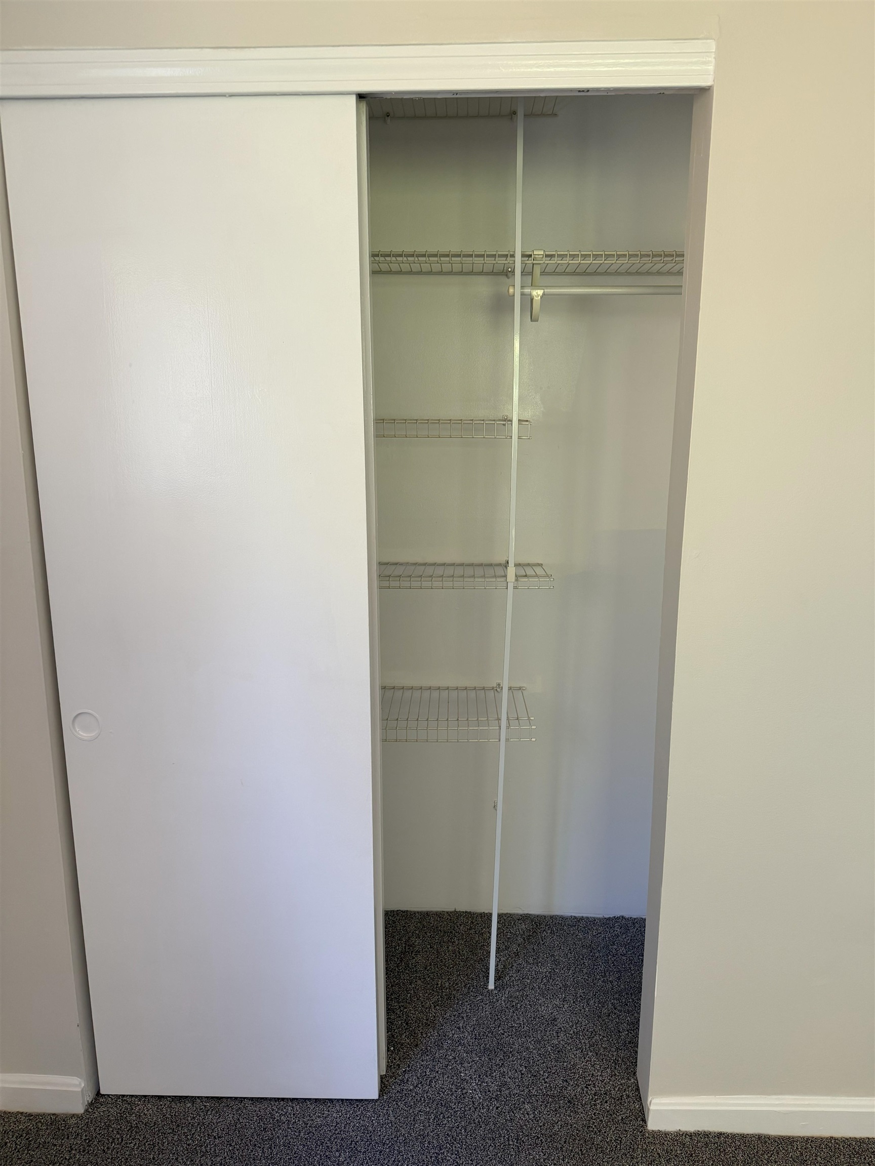 57 D Constitution Drive