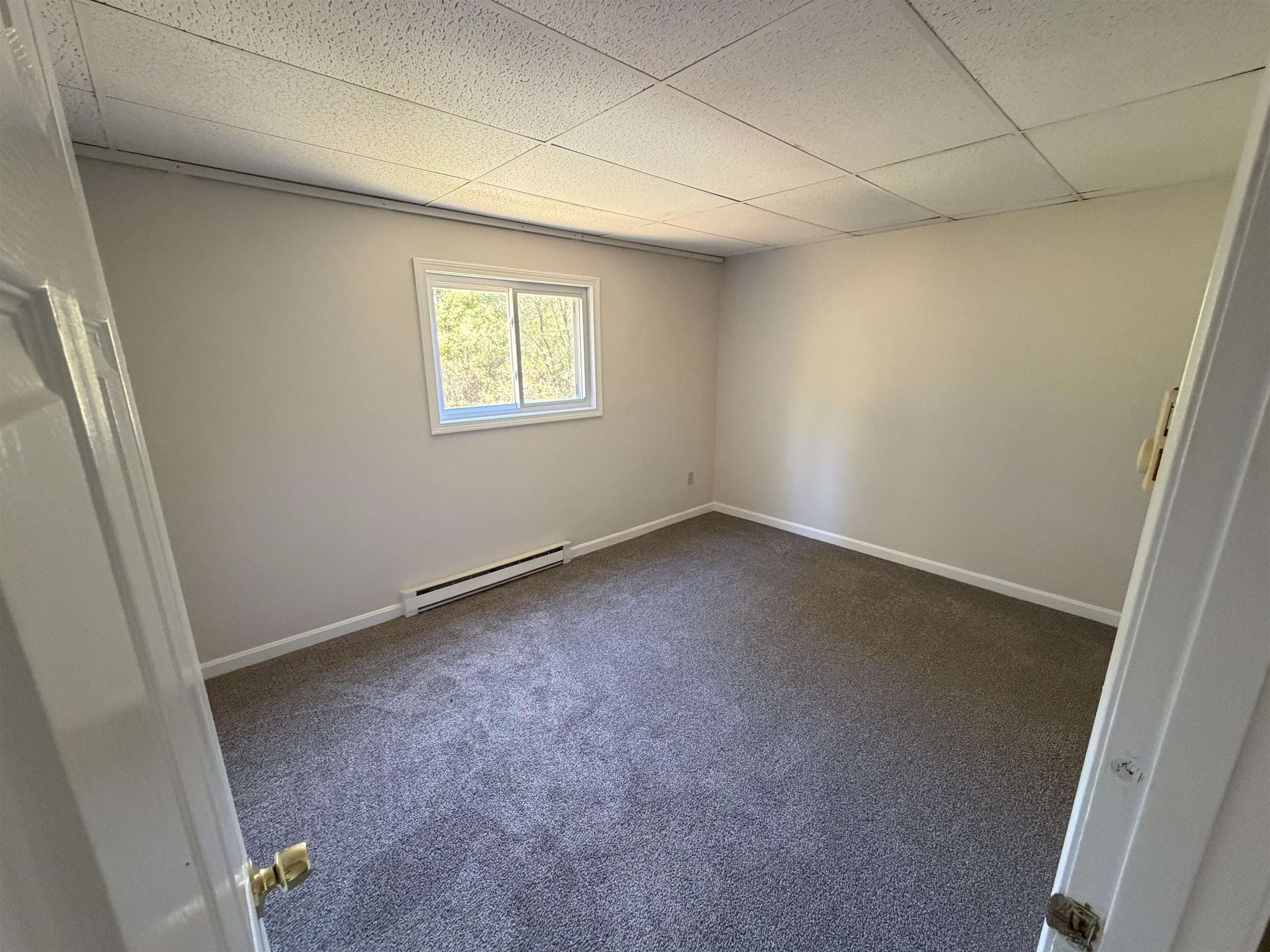 57 D Constitution Drive