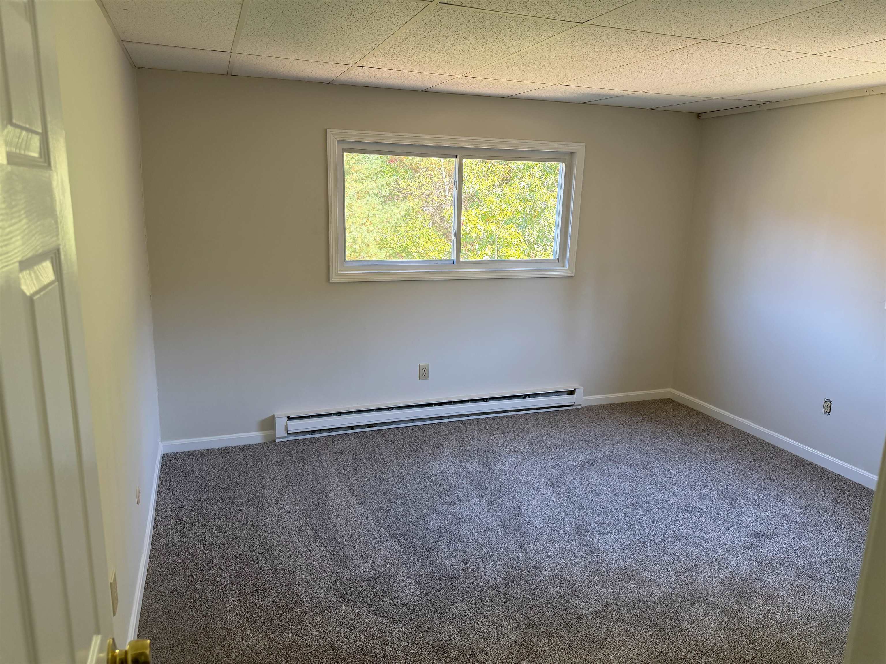 57 D Constitution Drive