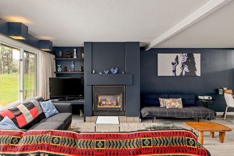 55 Village Green Drive 3C Stowe VT 05672