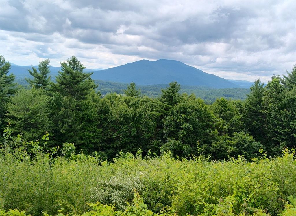 Photo of 0 Cat Hole Road, Claremont, NH 03743 (MLS # 5052634)