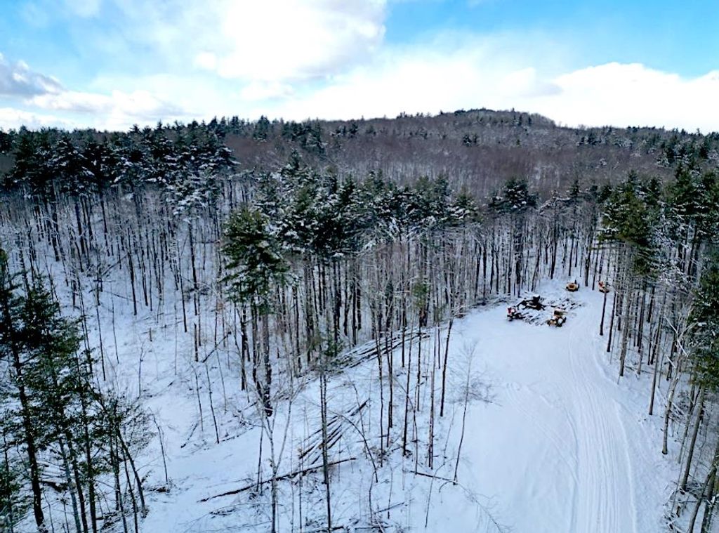 Photo of 1520 Province Road #Tax Map 424 Lot 68, Gilmanton, NH 03237 (MLS # 5075263)