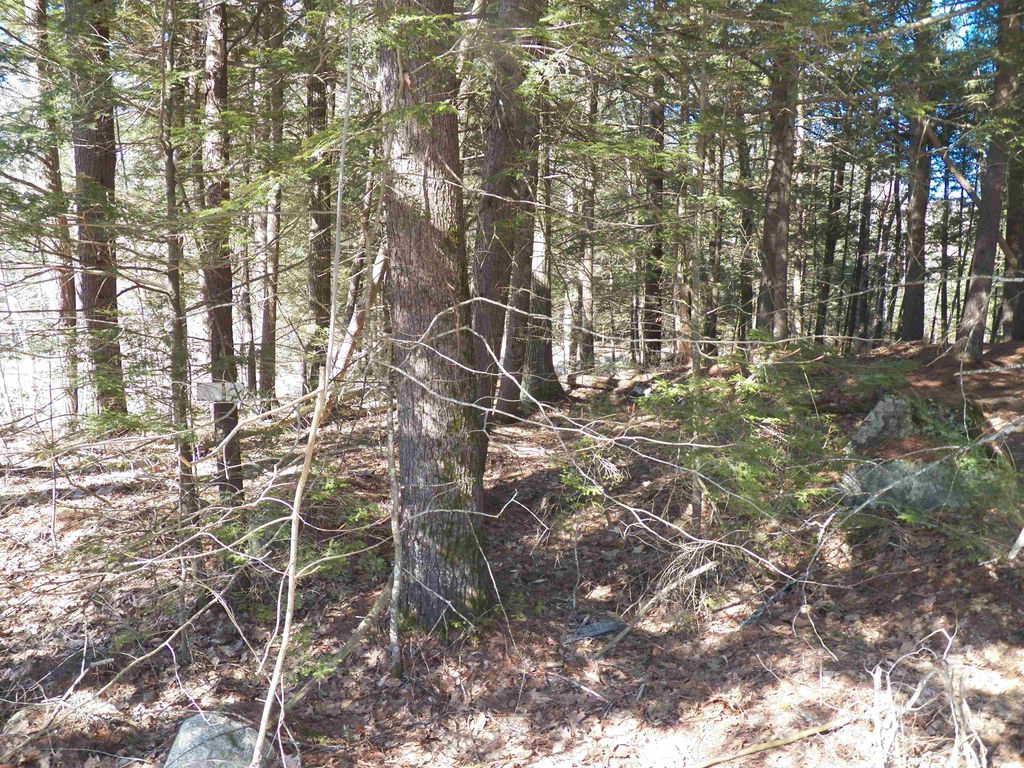 Photo of 14077 Deerpoint Drive, Hillsborough, NH 03244 (MLS # 5080592)
