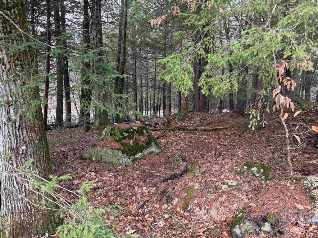 Photo of 14077 Deerpoint Drive, Hillsborough, NH 03244 (MLS # 5080592)