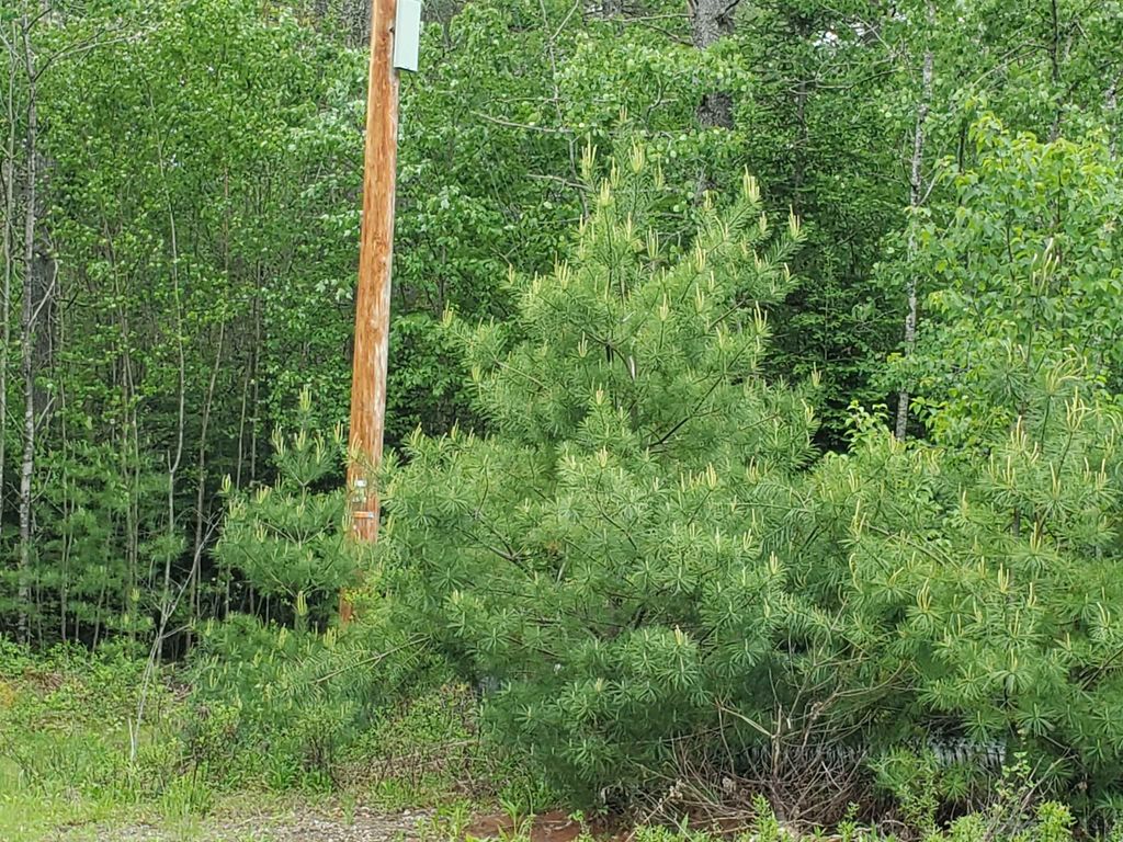 Photo of 21 Granite Way, Canaan, NH 03741 (MLS # 5074810)