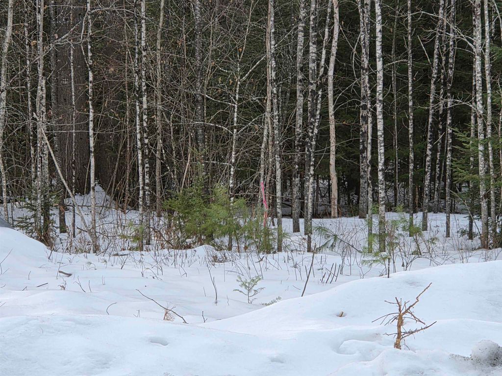 Photo of 21 Granite Way, Canaan, NH 03741 (MLS # 5074810)