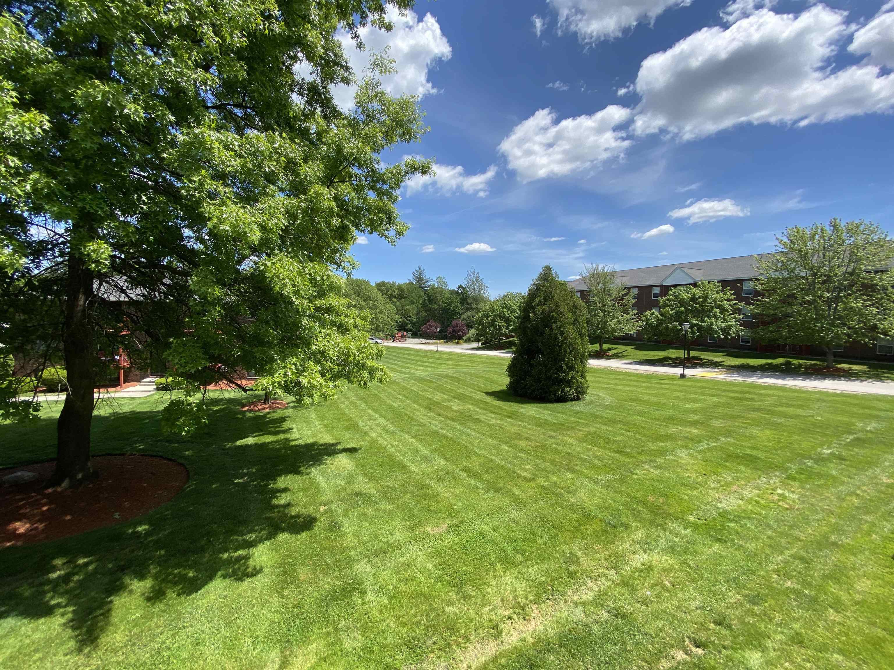 98 Powers Street 232