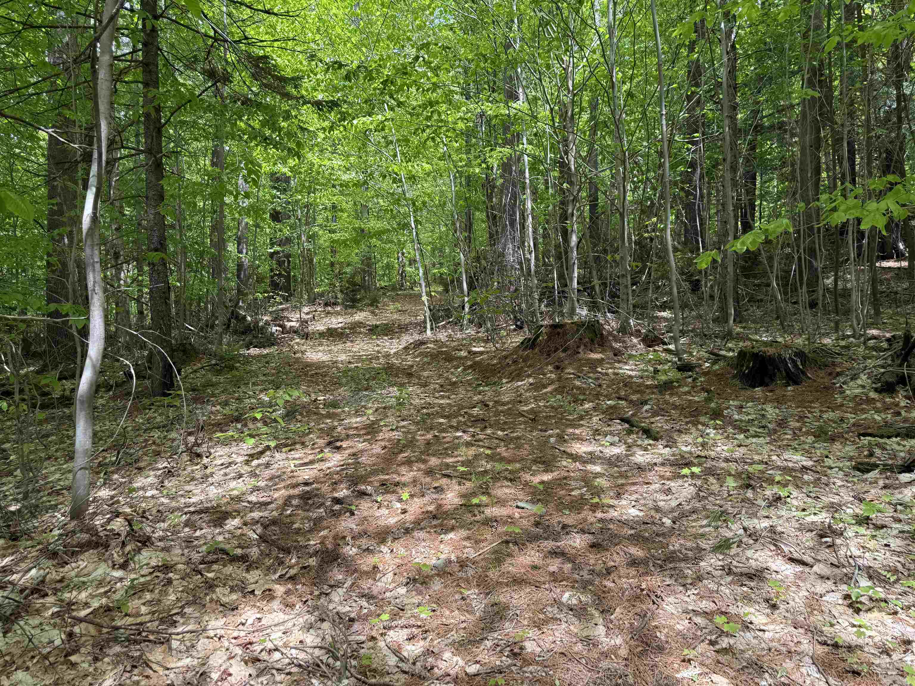 Lot 4 North Street 43