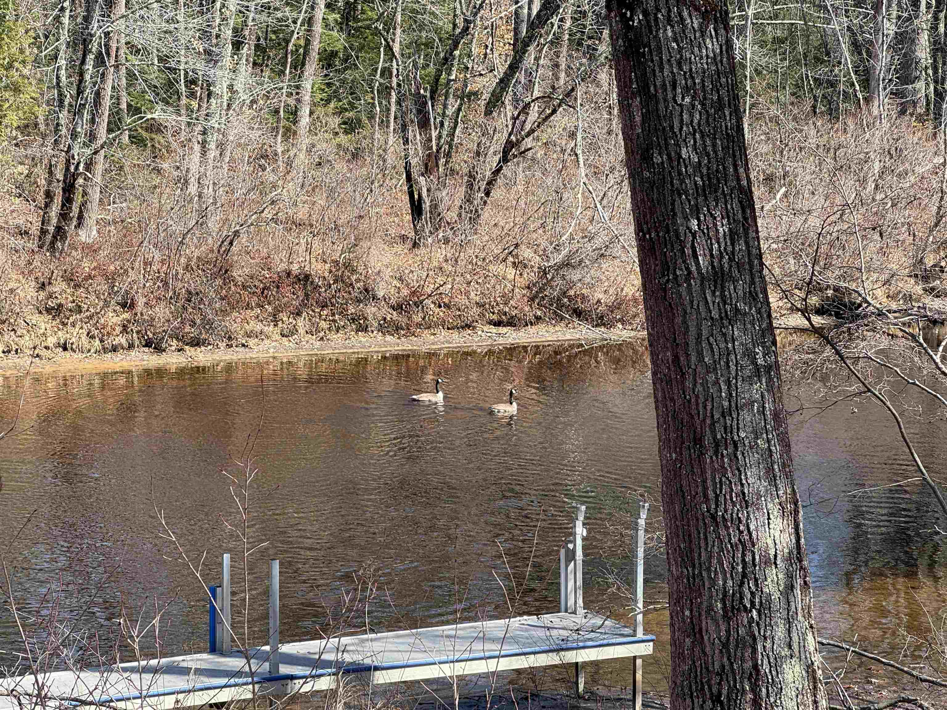 16 Hodsdon Shore Road