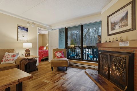 203 Old Mill Road B09 Killington VT 05751