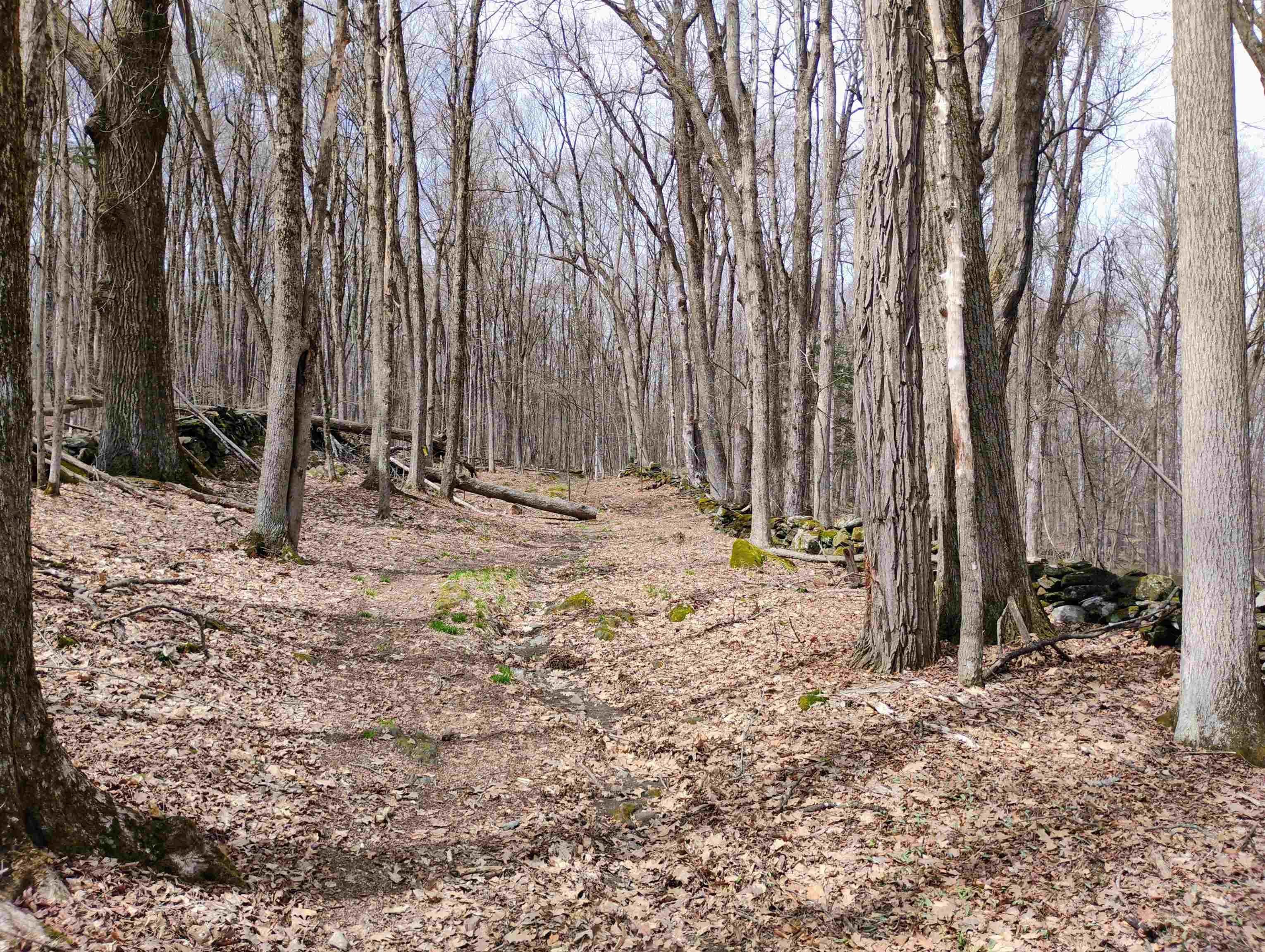 Lot 1 Faraway (Jones) Road